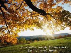 Photo 398988