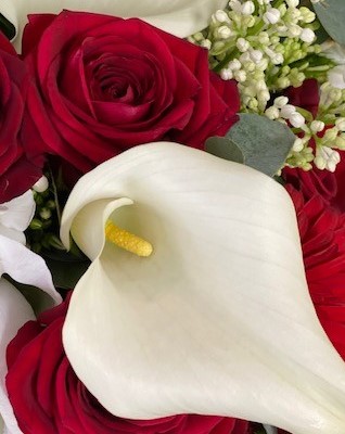 Photo 772721