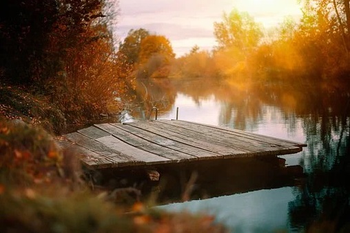 Photo 907823