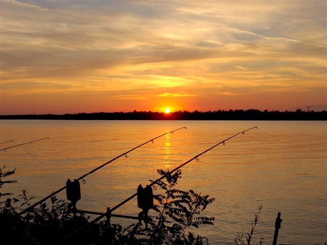Photo 974672